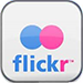 Flickr Icon